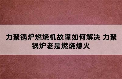 力聚锅炉燃烧机故障如何解决 力聚锅炉老是燃烧熄火